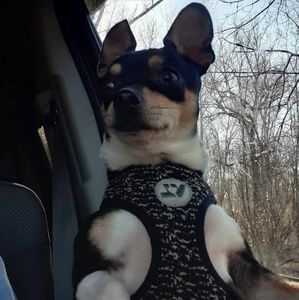 Meet your Posher, Jane